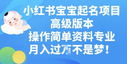 小红书宝宝起名项目高级版本,操作简单,资料专业,月入过W-誉聚网赚