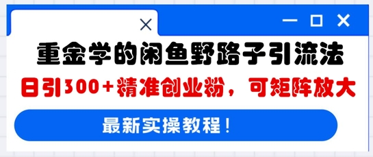 重金学的闲鱼野路子引流法,日引300+精准创业粉,可矩阵放大-誉聚网赚