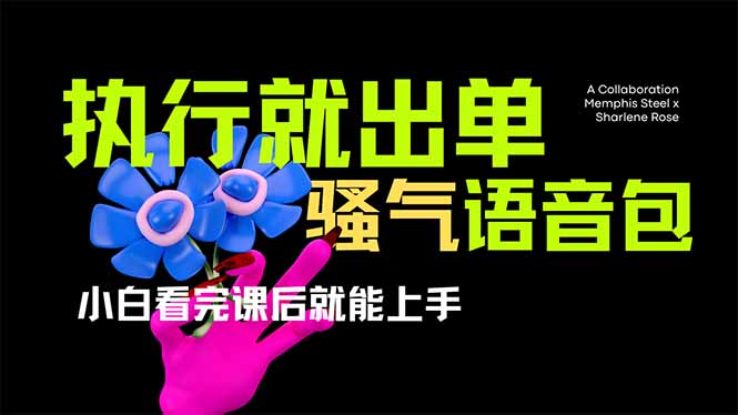 (14170期)爆火全网的开车导航骚气语音包,只要执行就出单,小白看完课程就能实操...-誉聚网赚