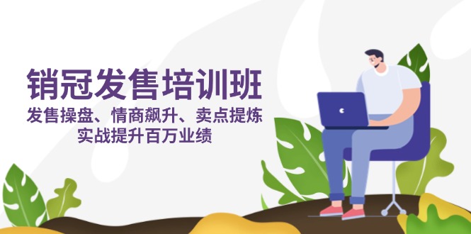 (14203期)销冠 发售培训班:发售 操盘+情商 飙升+卖点 提炼,实战提升百万业绩-誉聚网赚
