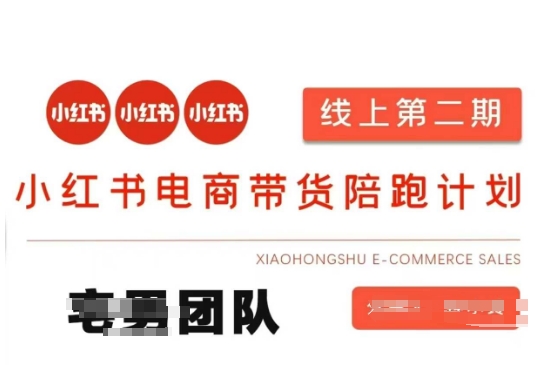 小红书电商带货课2期，月利润20个的小红书电商的有货源，无货源，虚拟产品，付费投流等整套玩法-誉聚网赚