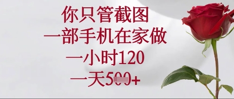 你只管截图,一部手机在家操作,一小时120.一天5张【揭秘】-誉聚网赚